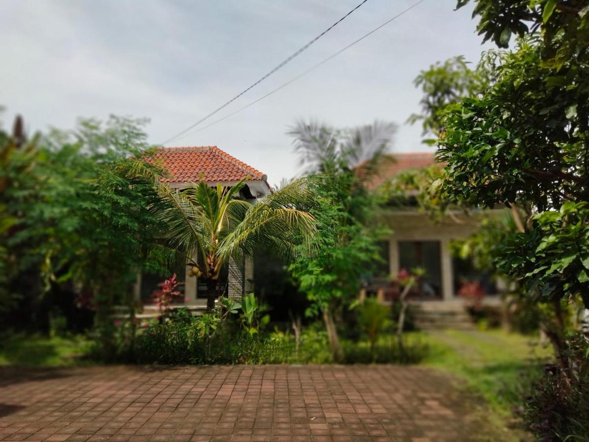 Pier26 Bali Homestay Nusa Dua  Luaran gambar