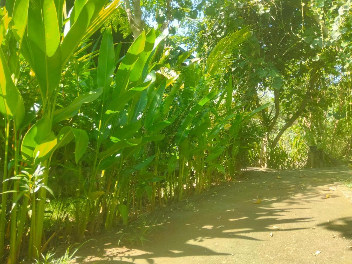 Pier26 Bali Homestay Nusa Dua  Luaran gambar