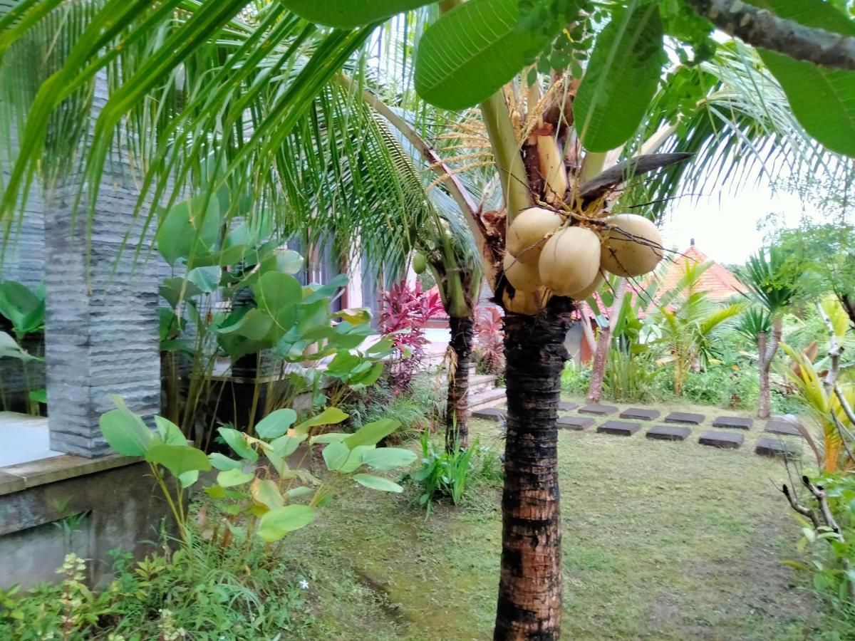 Pier26 Bali Homestay Nusa Dua  Luaran gambar