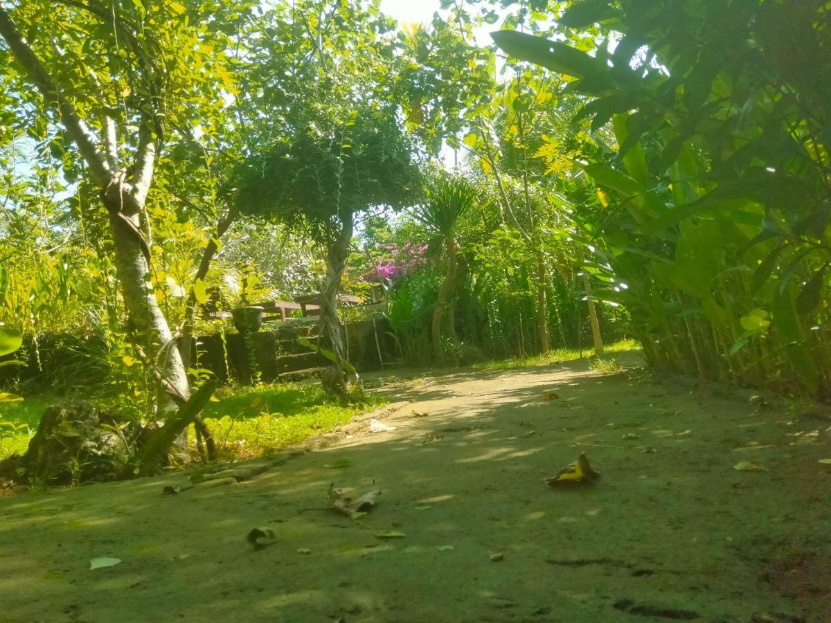 Pier26 Bali Homestay Nusa Dua  Luaran gambar